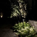 IMG_3837